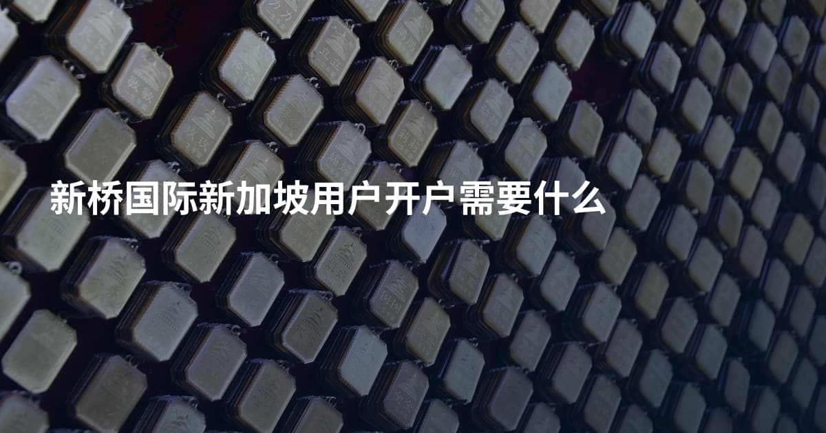新桥国际新加坡用户开户需要什么