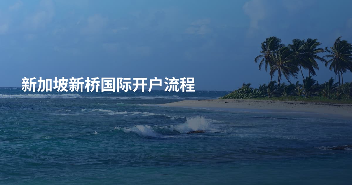 新加坡新桥国际开户流程