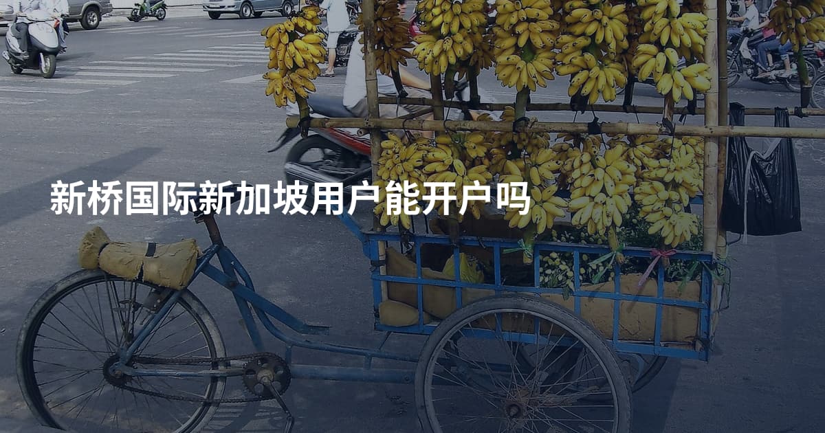 新桥国际新加坡用户能开户吗