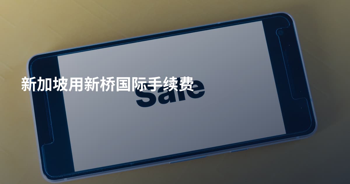 新加坡用新桥国际手续费