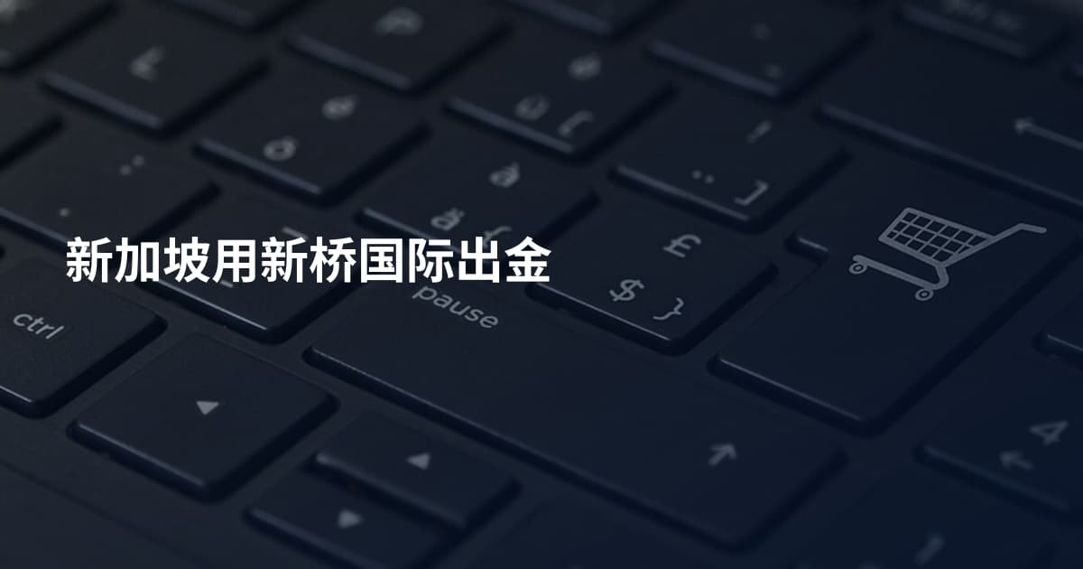 新加坡用新桥国际出金