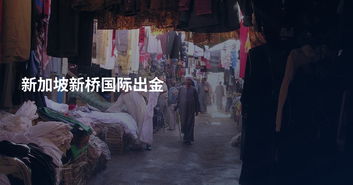 新加坡新桥国际出金