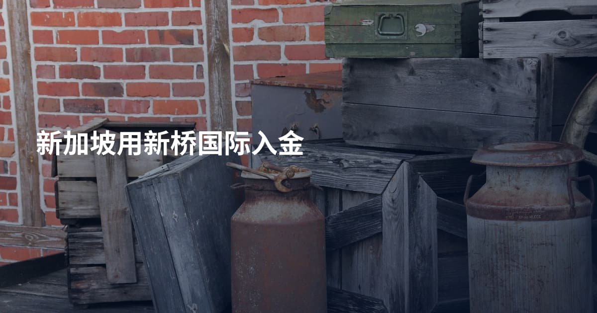 新加坡用新桥国际入金
