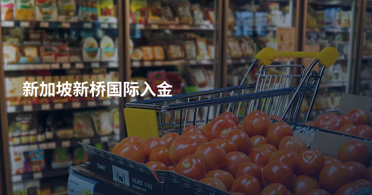 新加坡新桥国际入金