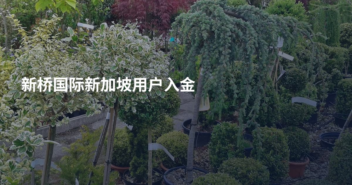 新桥国际新加坡用户入金
