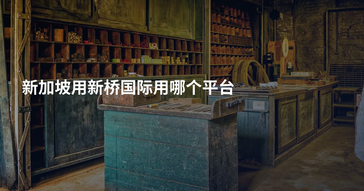 新加坡用新桥国际用哪个平台