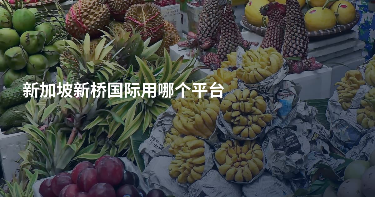 新加坡新桥国际用哪个平台