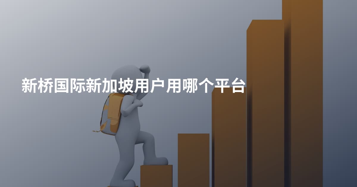 新桥国际新加坡用户用哪个平台