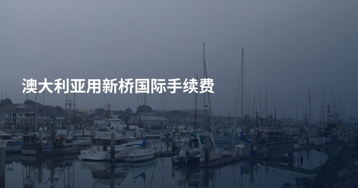 澳大利亚用新桥国际手续费