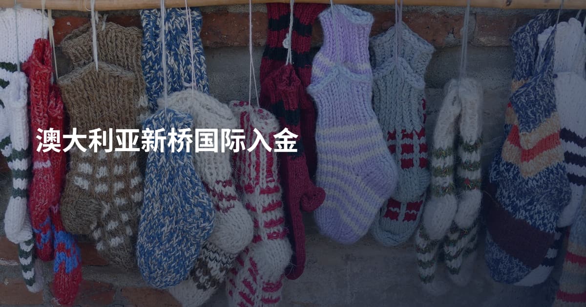 澳大利亚新桥国际入金