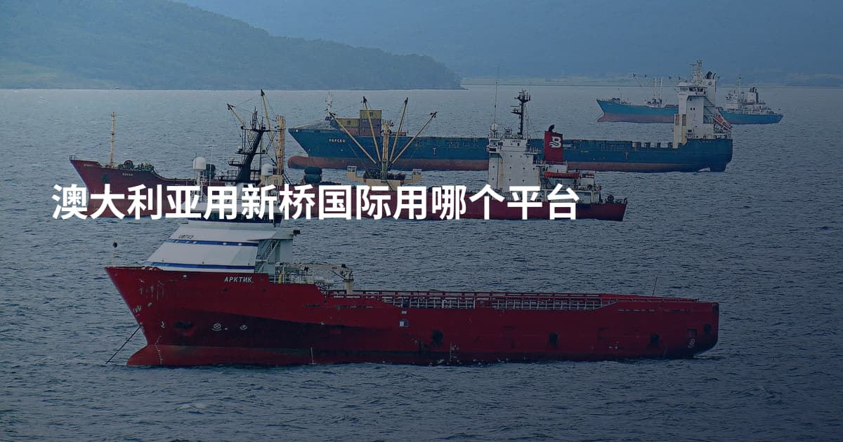 澳大利亚用新桥国际用哪个平台