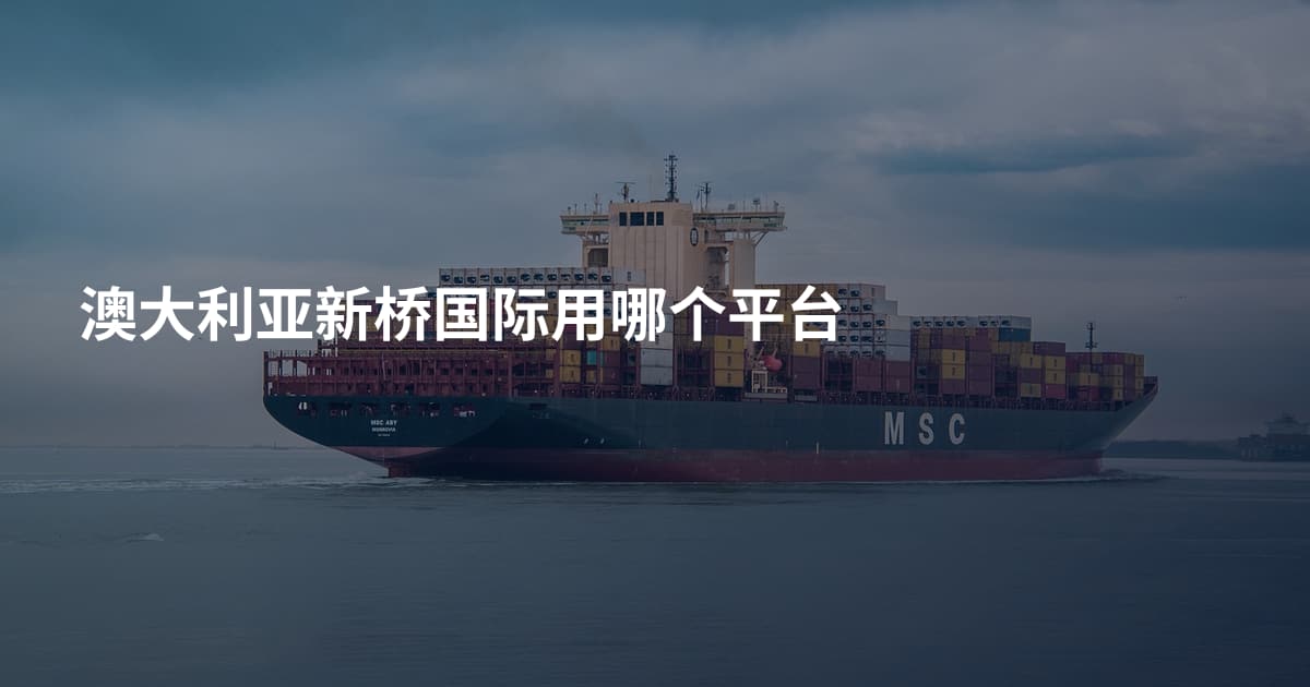 澳大利亚新桥国际用哪个平台
