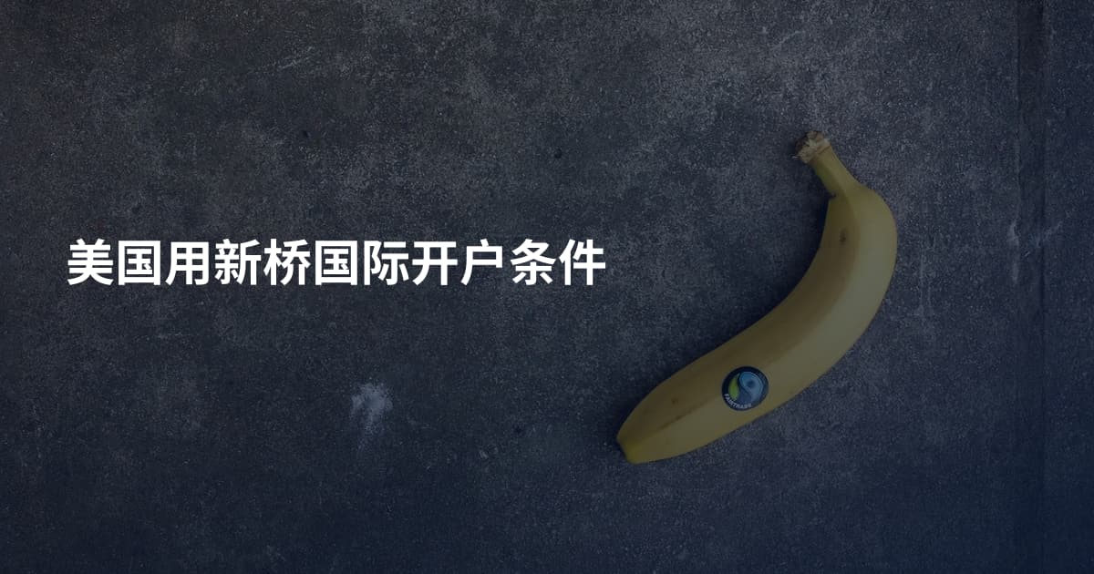 美国用新桥国际开户条件