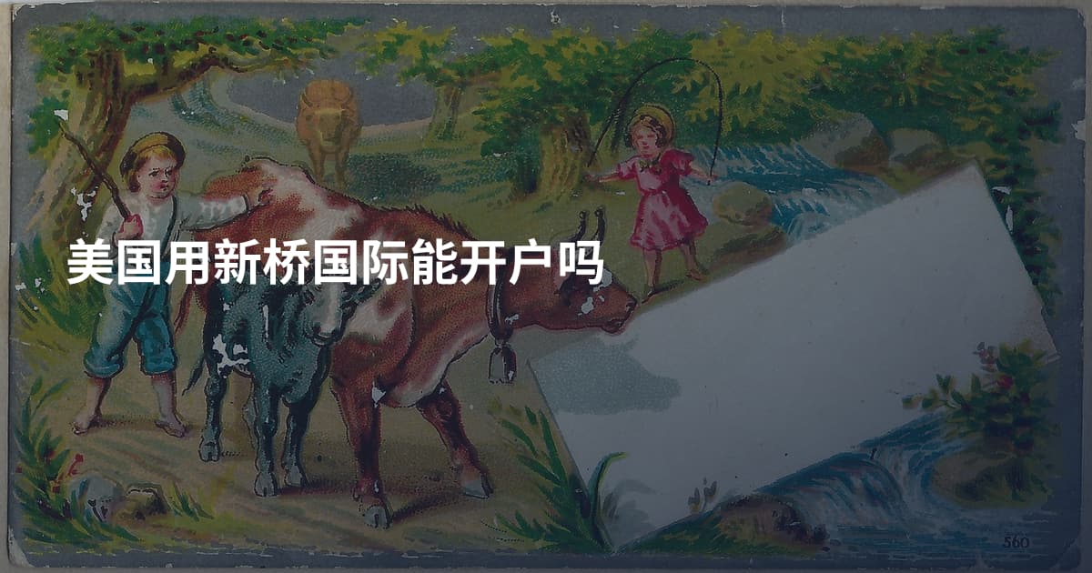 美国用新桥国际能开户吗