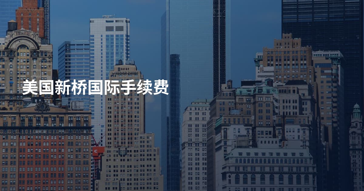 美国新桥国际手续费