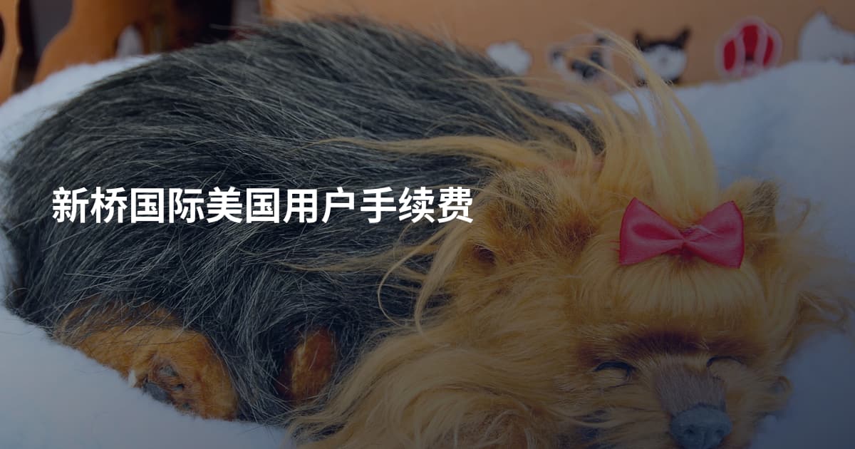 新桥国际美国用户手续费