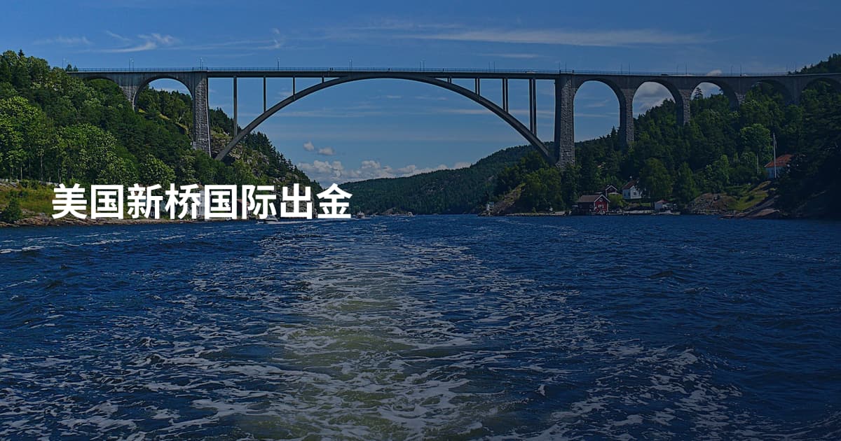美国新桥国际出金