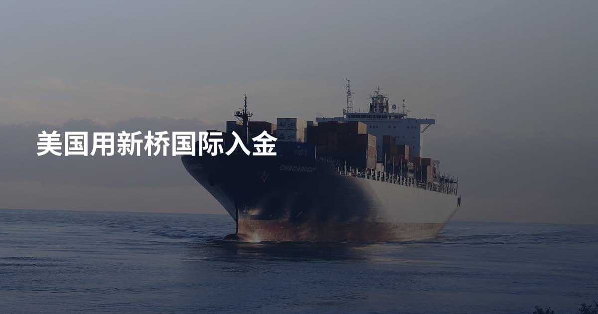 美国用新桥国际入金
