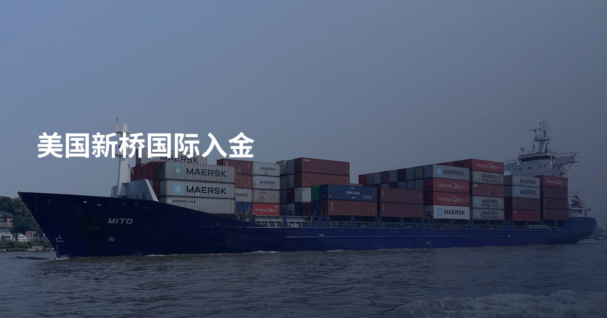 美国新桥国际入金