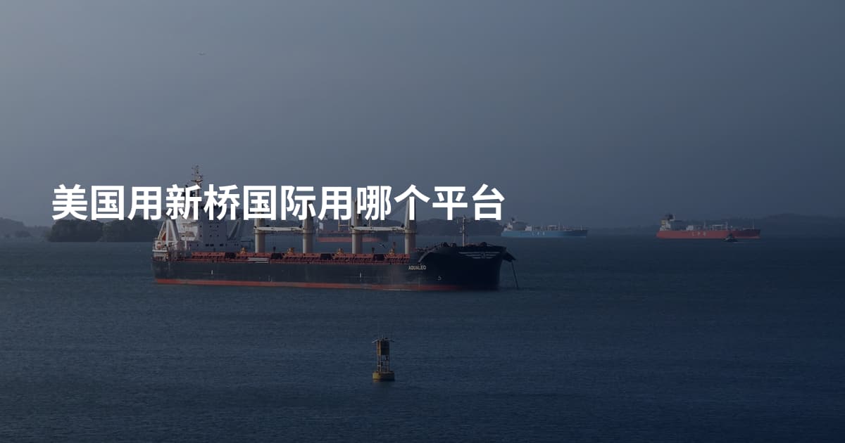 美国用新桥国际用哪个平台