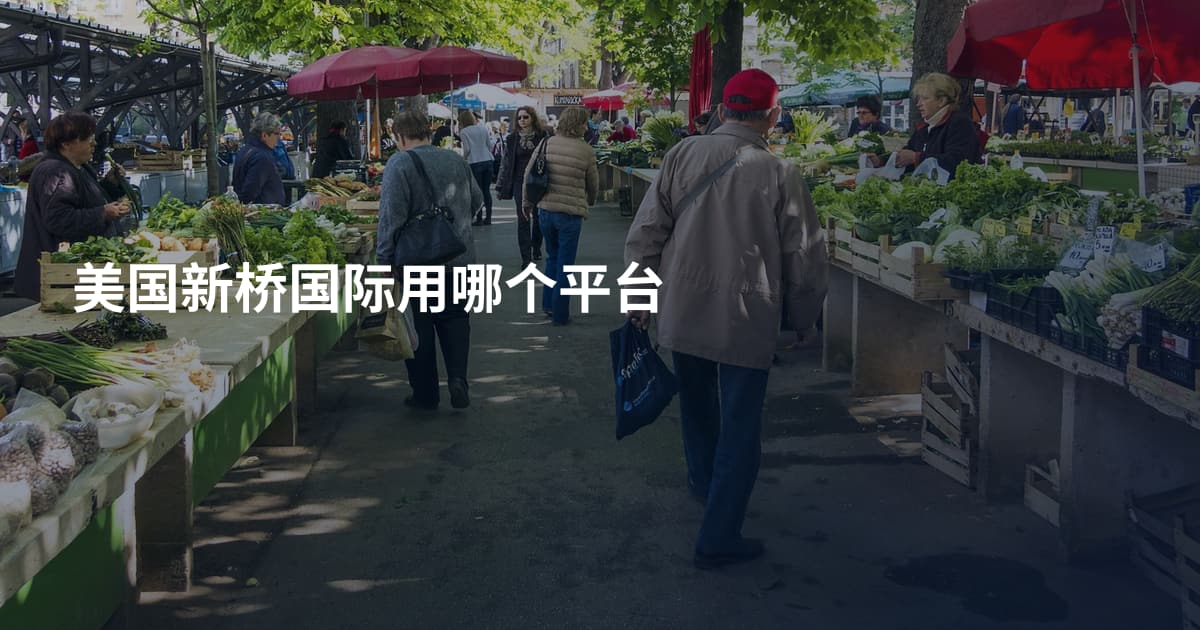 美国新桥国际用哪个平台