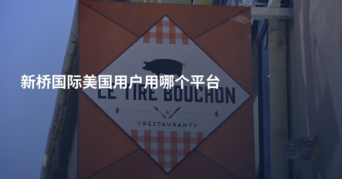 新桥国际美国用户用哪个平台