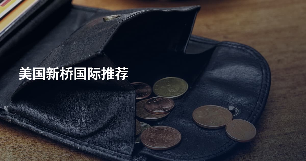 美国新桥国际推荐