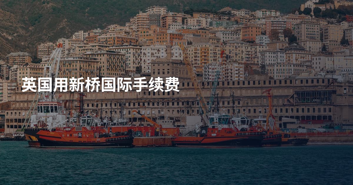 英国用新桥国际手续费