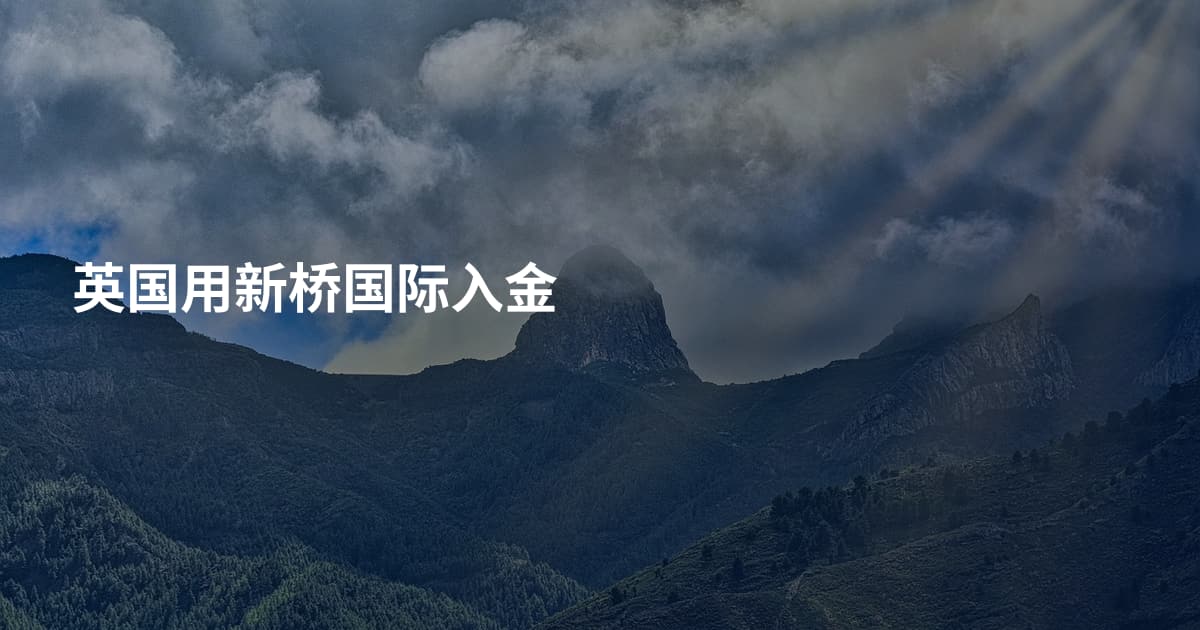 英国用新桥国际入金