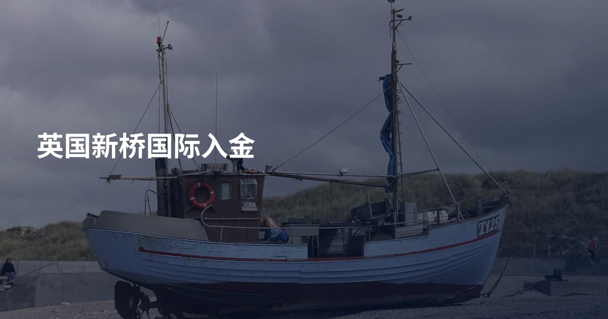 英国新桥国际入金
