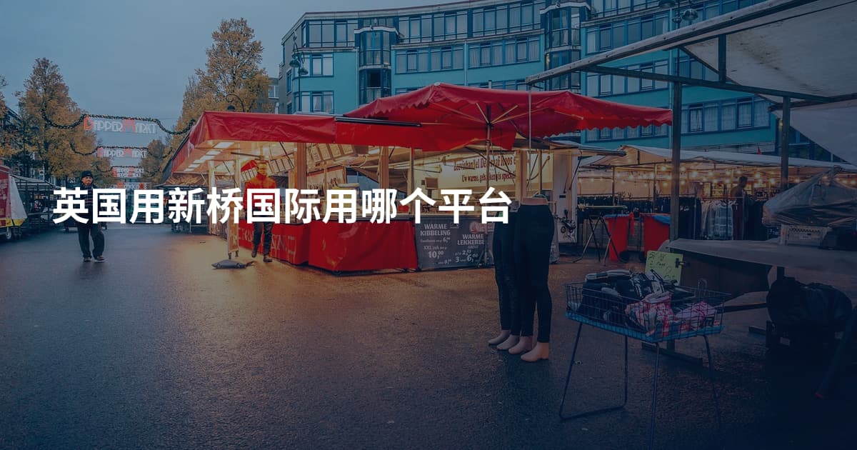 英国用新桥国际用哪个平台
