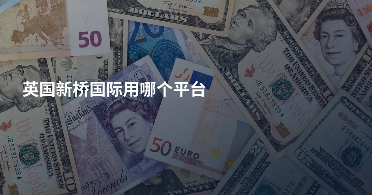 英国新桥国际用哪个平台