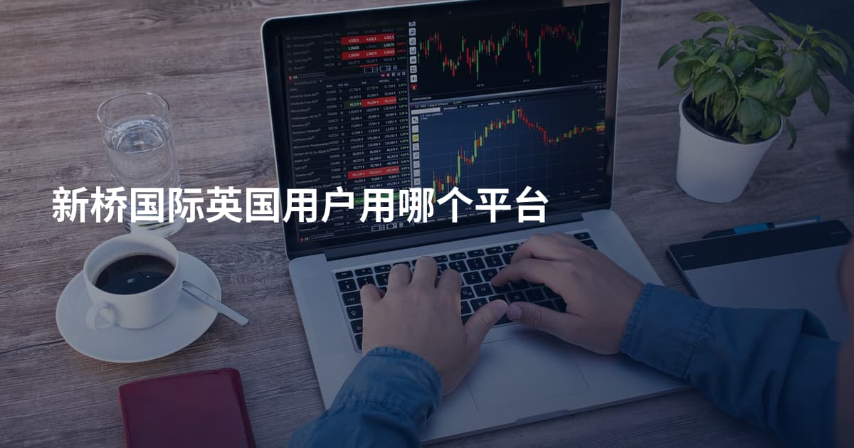 新桥国际英国用户用哪个平台