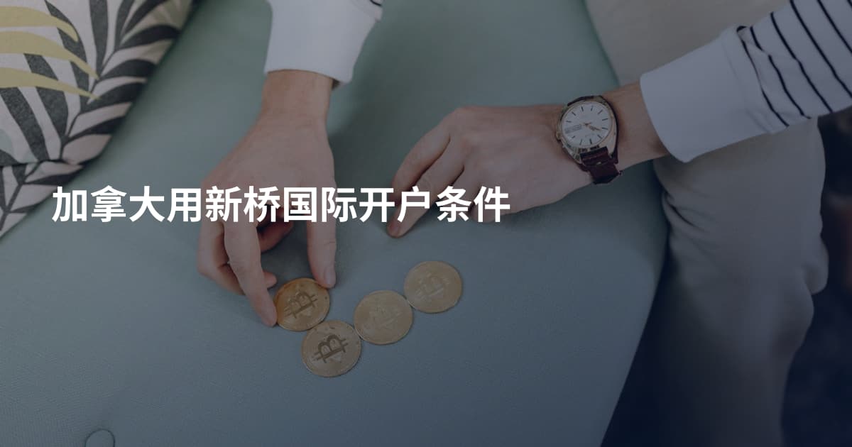 加拿大用新桥国际开户条件