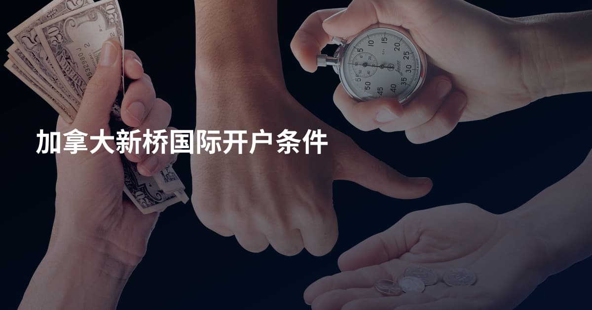 加拿大新桥国际开户条件