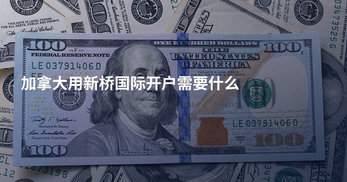 加拿大用新桥国际开户需要什么