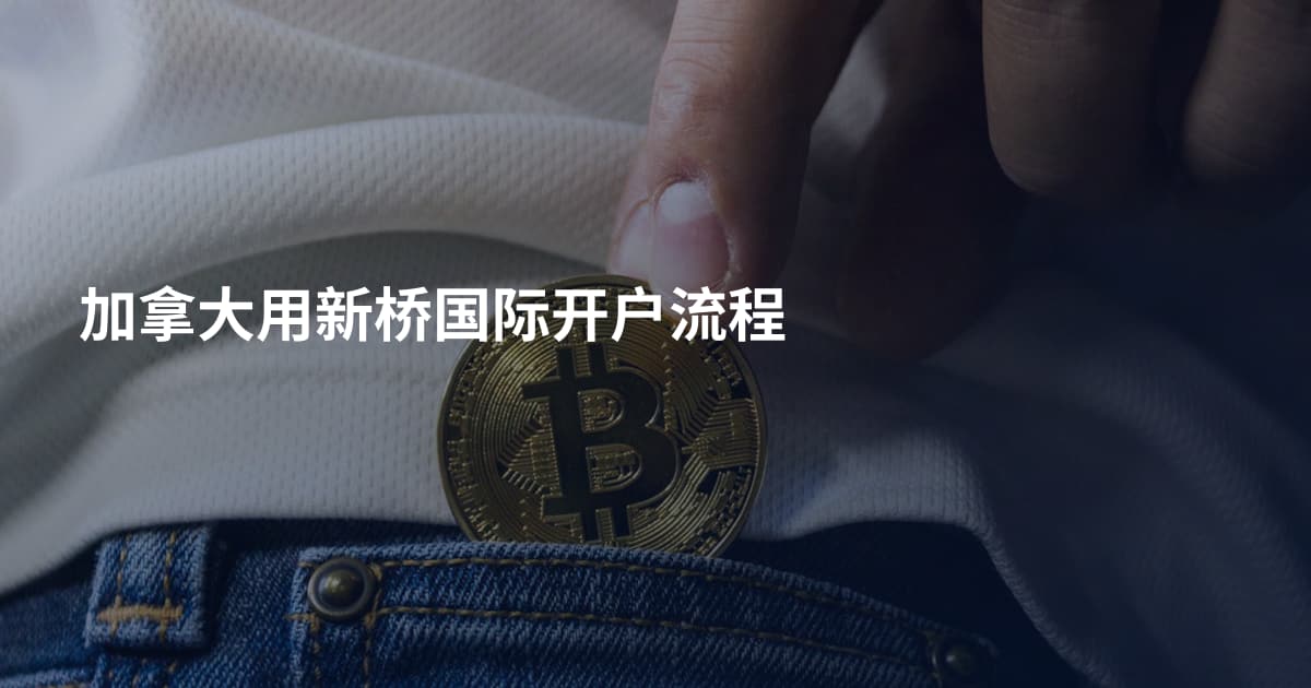 加拿大用新桥国际开户流程
