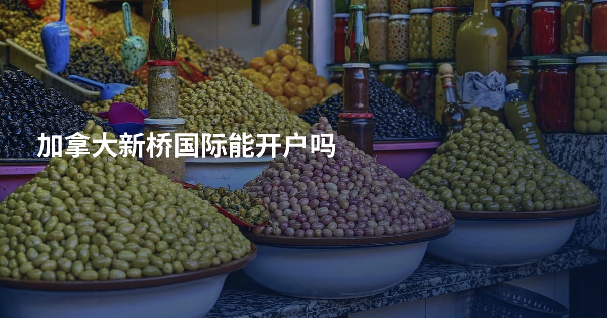 加拿大新桥国际能开户吗