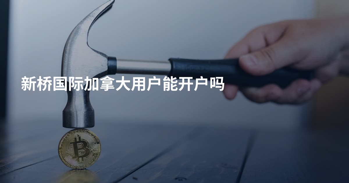 新桥国际加拿大用户能开户吗
