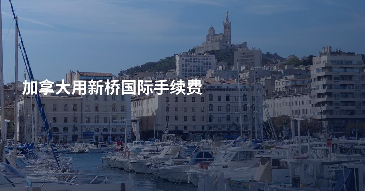加拿大用新桥国际手续费