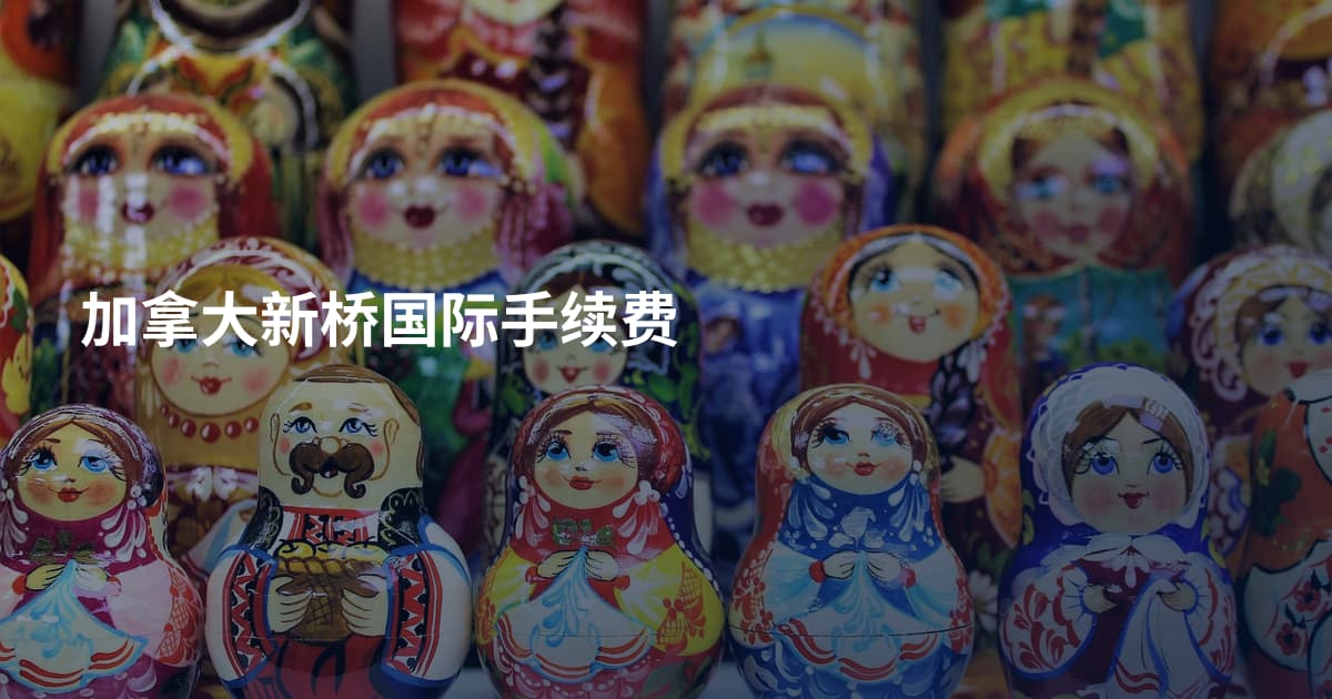 加拿大新桥国际手续费