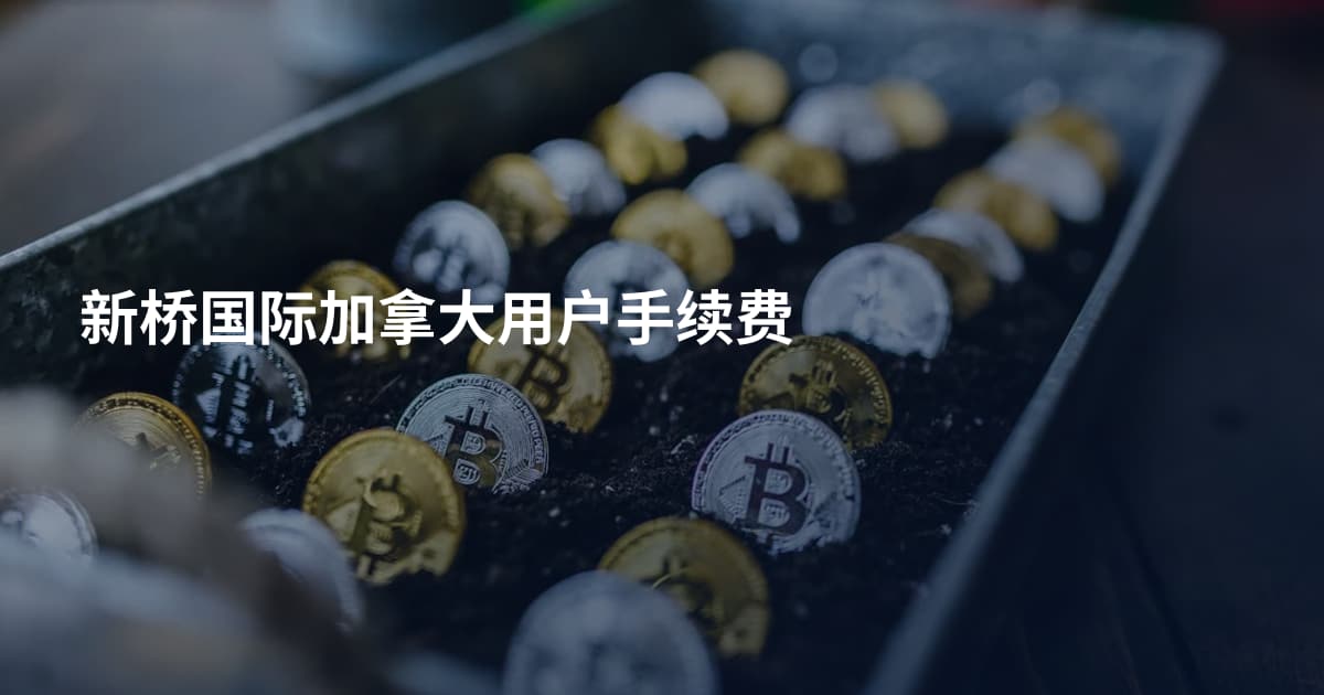 新桥国际加拿大用户手续费