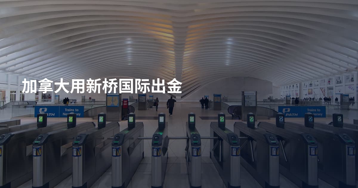 加拿大用新桥国际出金
