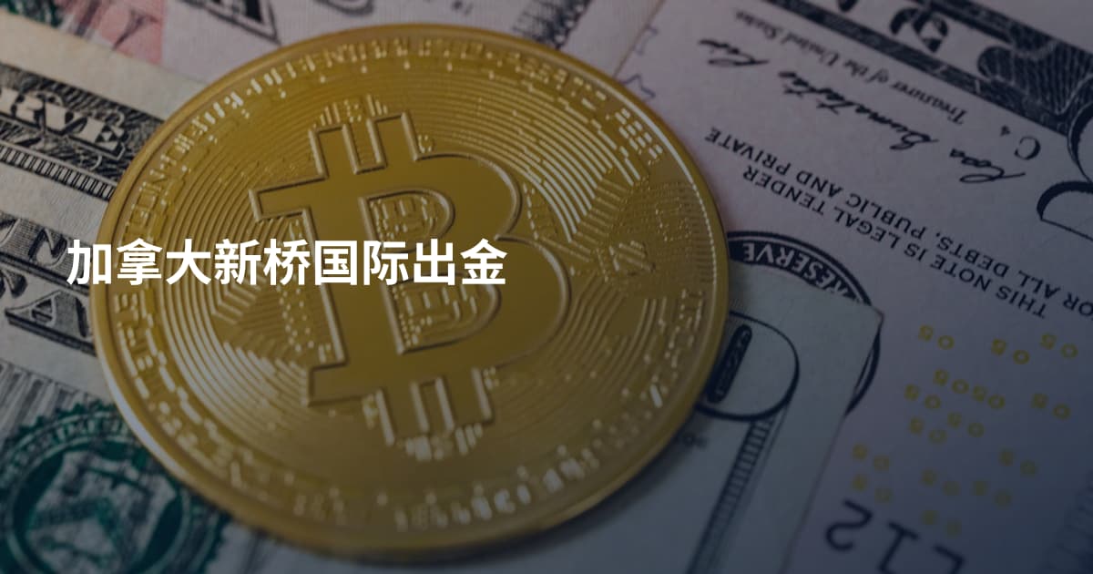 加拿大新桥国际出金