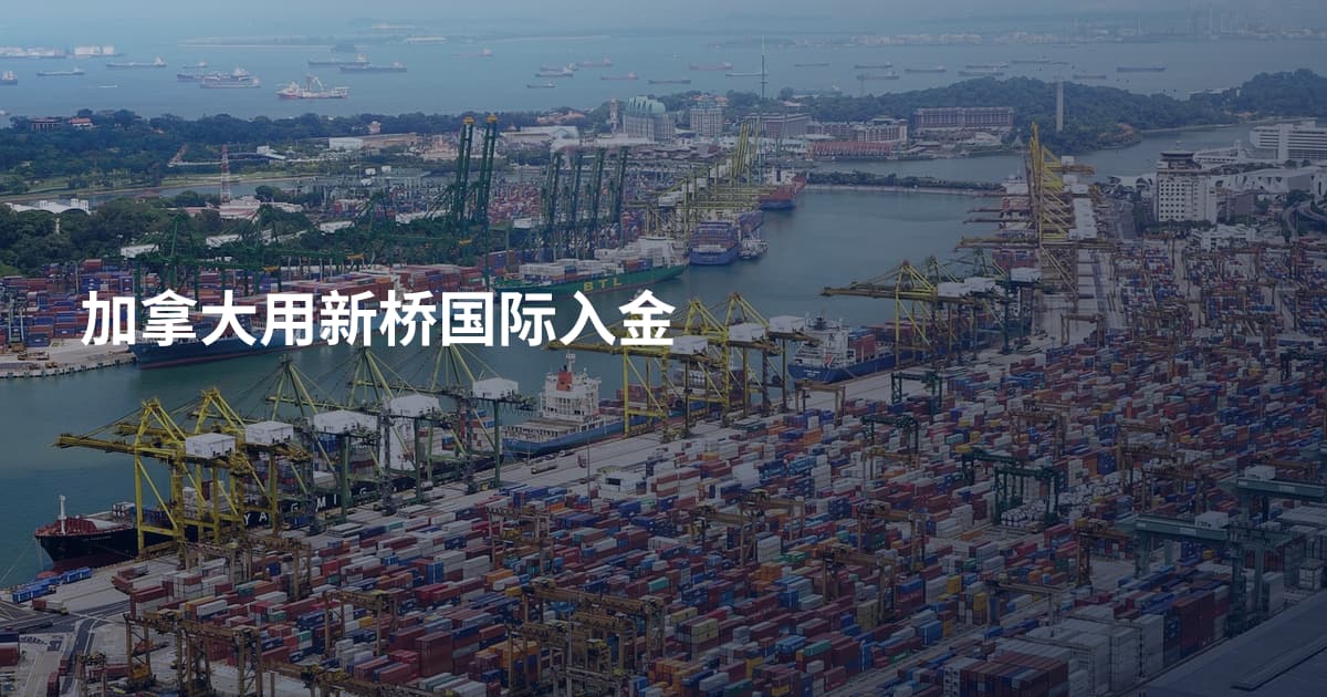 加拿大用新桥国际入金