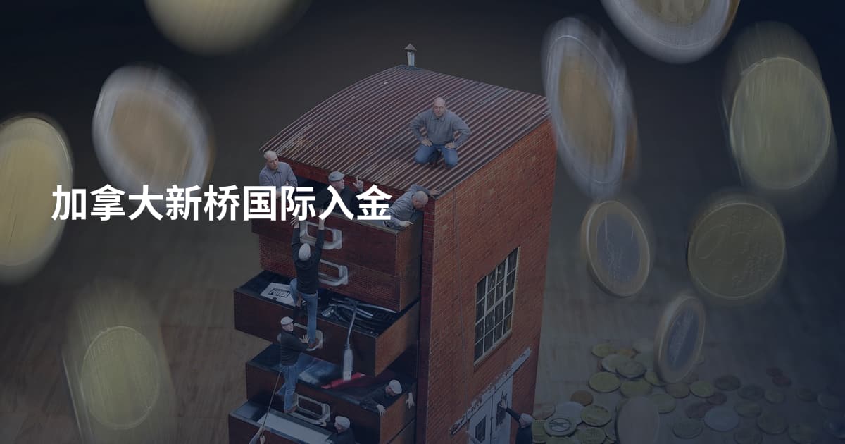 加拿大新桥国际入金