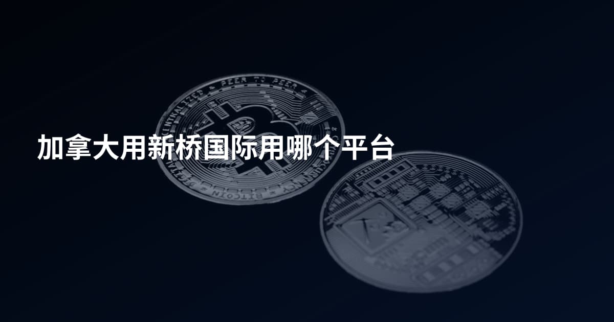 加拿大用新桥国际用哪个平台