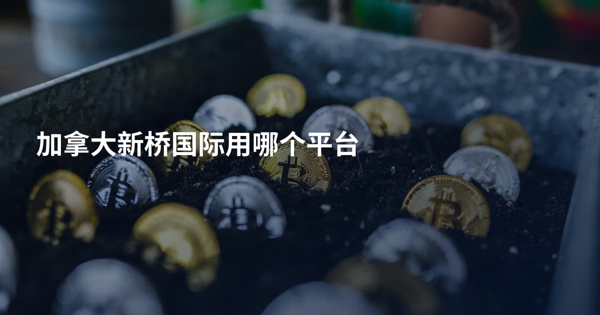 加拿大新桥国际用哪个平台