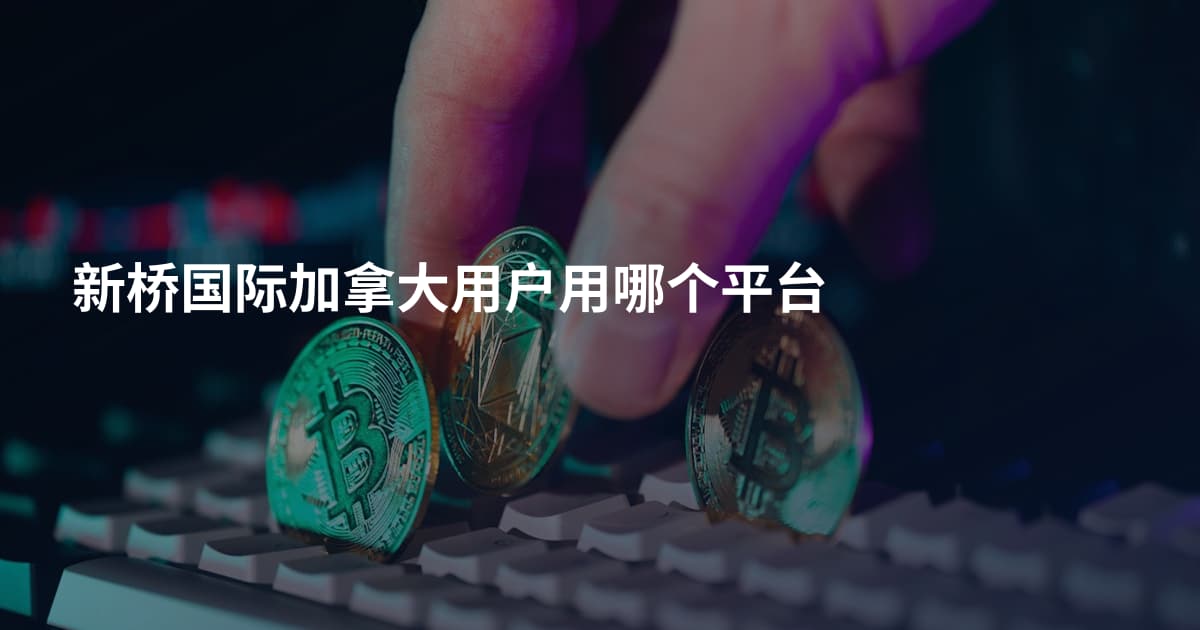 新桥国际加拿大用户用哪个平台