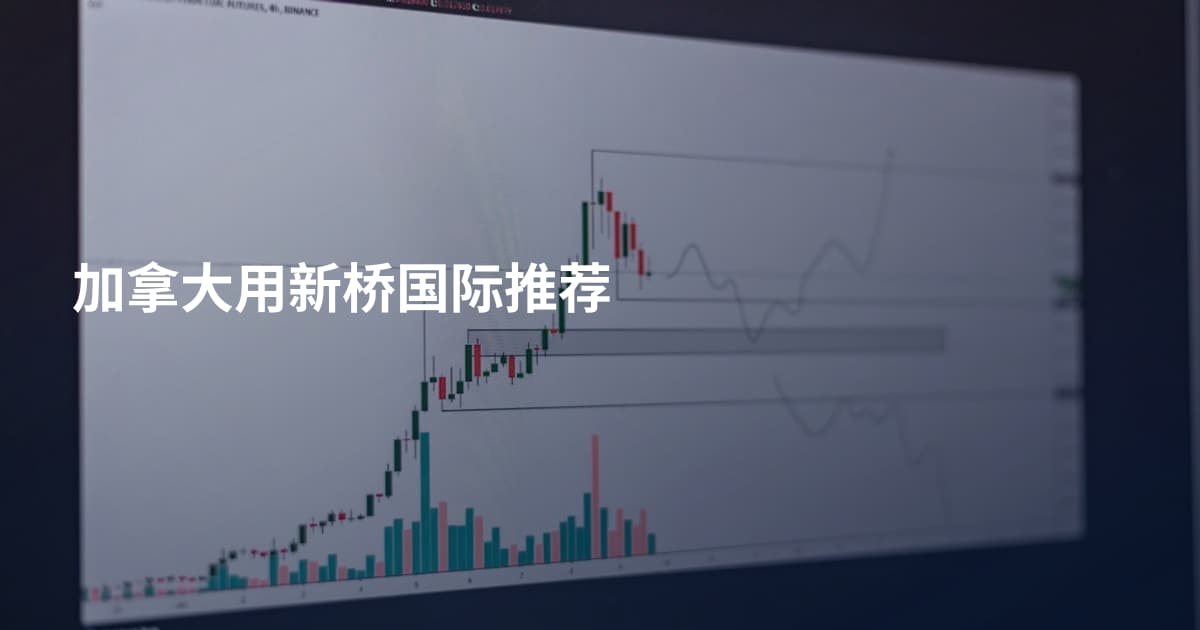 加拿大用新桥国际推荐